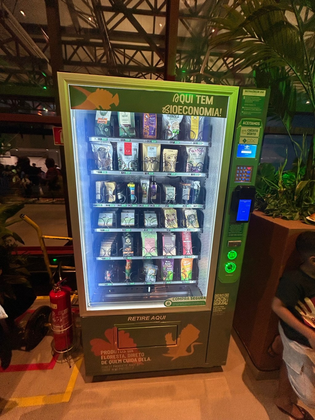 Between Community Autonomy and Green Colonialism: Contested Experience of the Sociobioeconomy in&nbsp;Amazonia